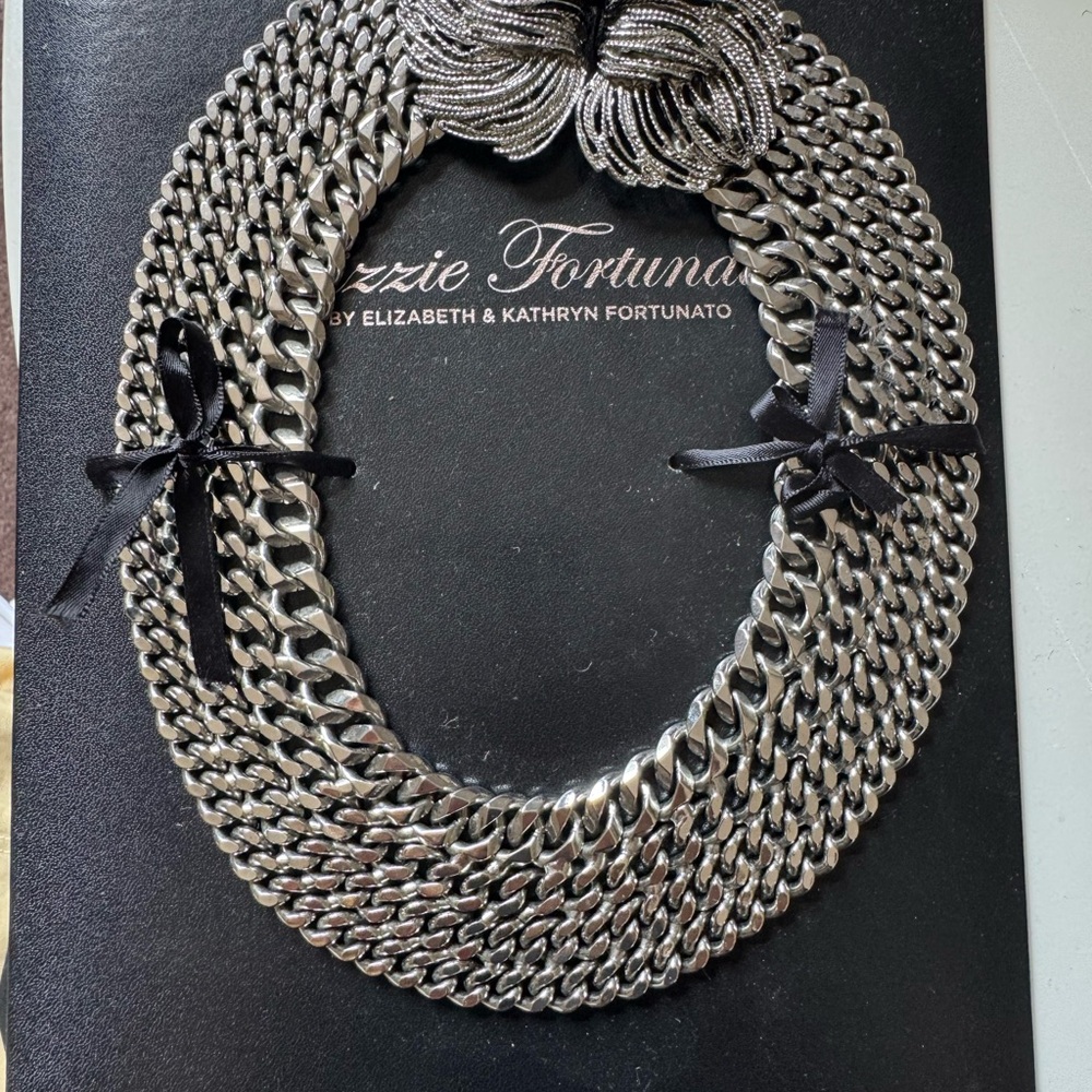 Lizzie Fortunato Silver Necklace